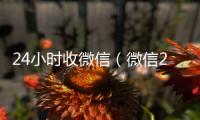 24小时收微信（微信24小时收款的能追回款吗）